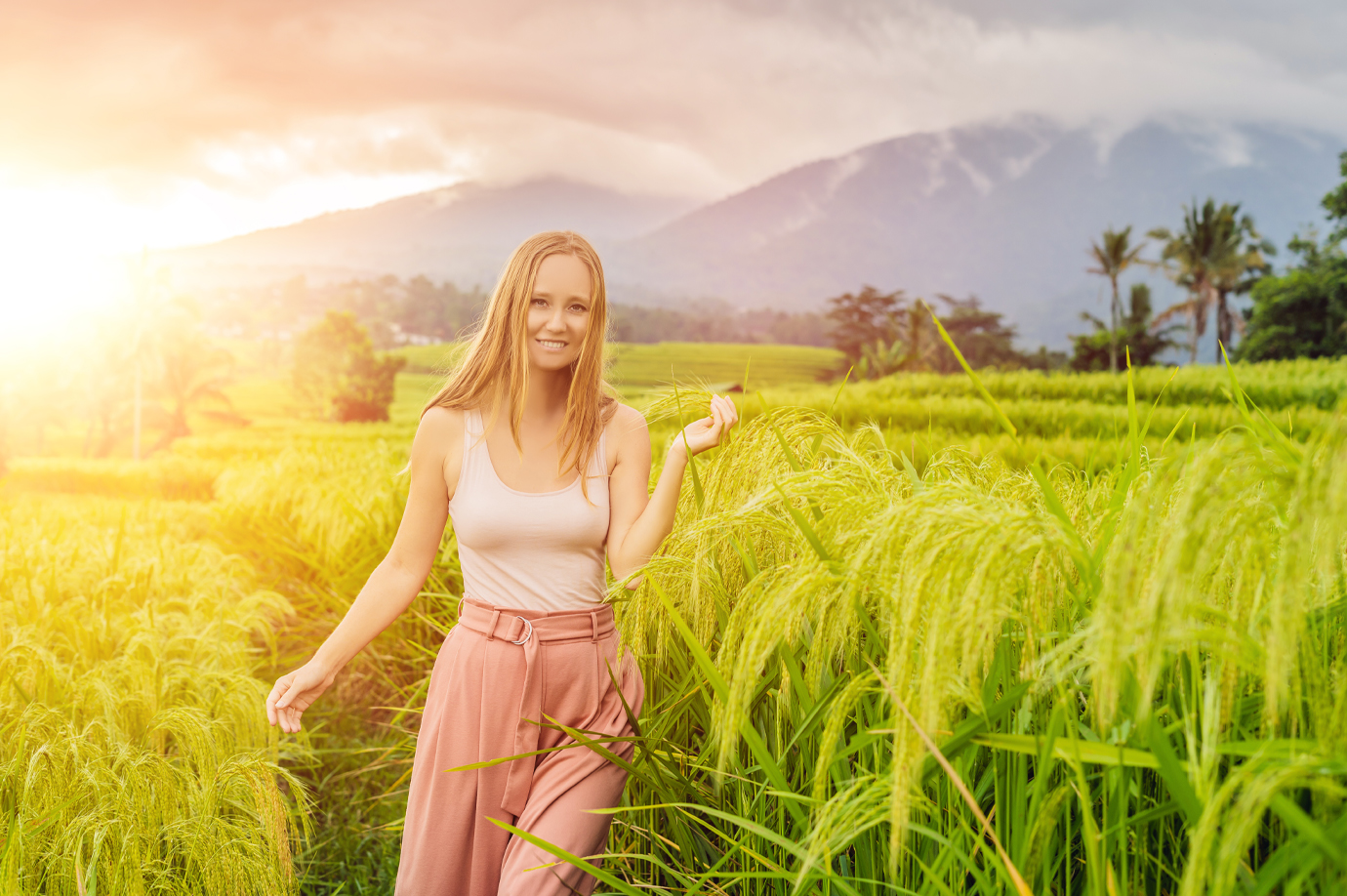 Immersing in the Golden Beauty of Jatiluwih's Rice Terraces Jatiluwih Rice Terrace