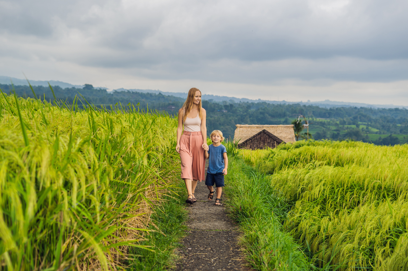 Exploring the Tranquility of Jatiluwih Rice Terrces Jatiluwih Rice Terrces
