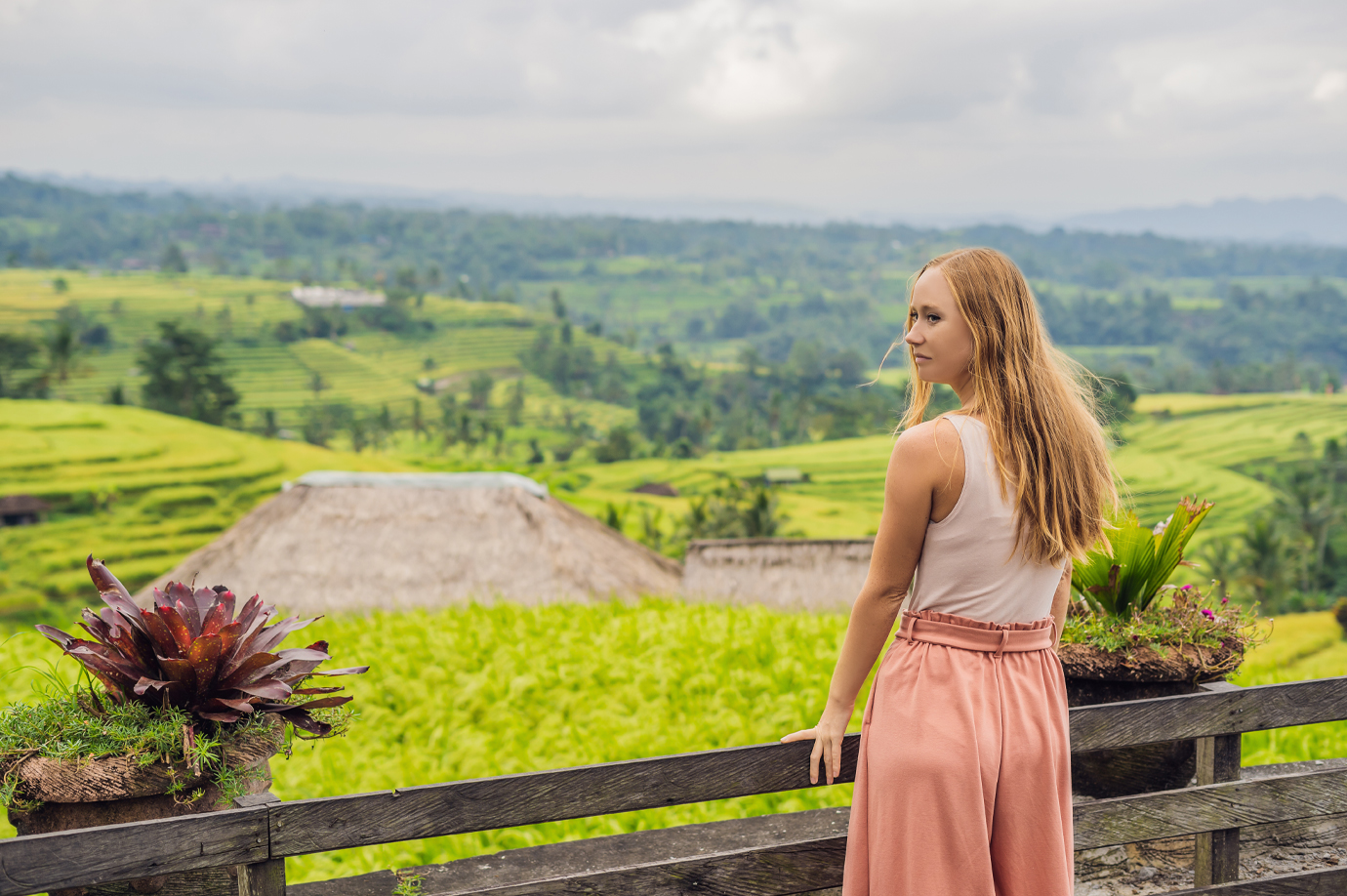 Exploring the Tranquility of Jatiluwih Rice Terrces Jatiluwih Rice Terrces